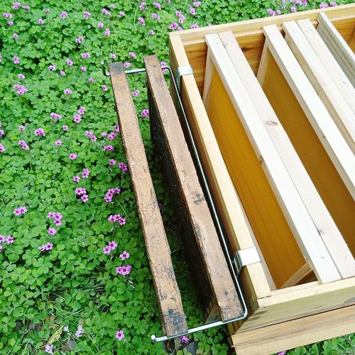 蜜蜂巢框搁置架蜂箱外不锈钢支架放置巢框脾养蜜蜂专用工具包邮