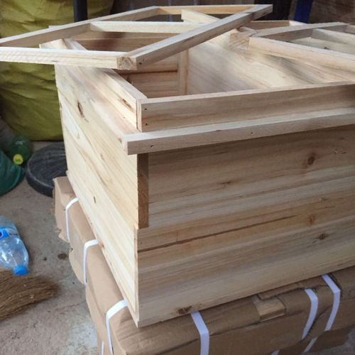 蜜蜂中蜂箱双王大型箱育王箱土养箱养蜂工具杉木板包邮厂家直销